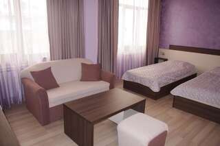 Отель Tundzha Hotel Ямбол Двухместный номер «Комфорт» с 1 кроватью или 2 отдельными кроватями-6