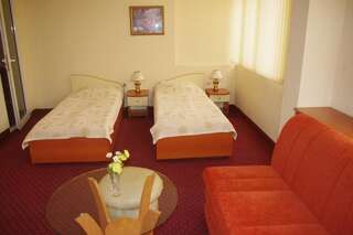 Отель Tundzha Hotel Ямбол Двухместный номер «Комфорт» с 1 кроватью или 2 отдельными кроватями-9